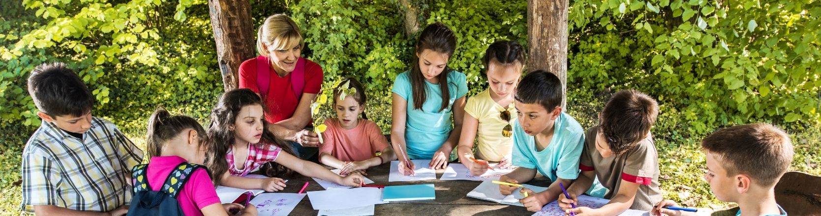 School children learning outdoors in a forest
